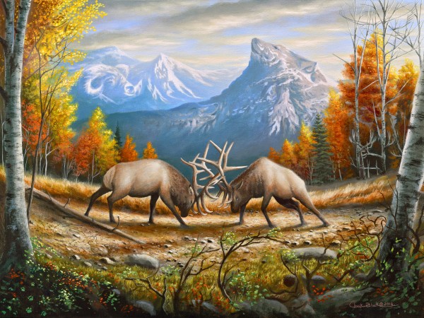 CANVAS_The Wild Frontier by CRB